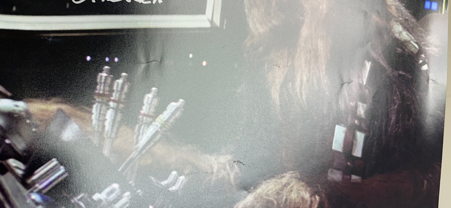 
                  
                    Peter Mayhew as Chewbacca in Star Wars: A New Hope Signed 16x20 Photo
                  
                