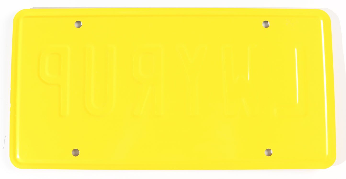 
                  
                    Rhea Seehorn as Kim Wexler in Better Call Saul Signed Prop Replica License Plate
                  
                