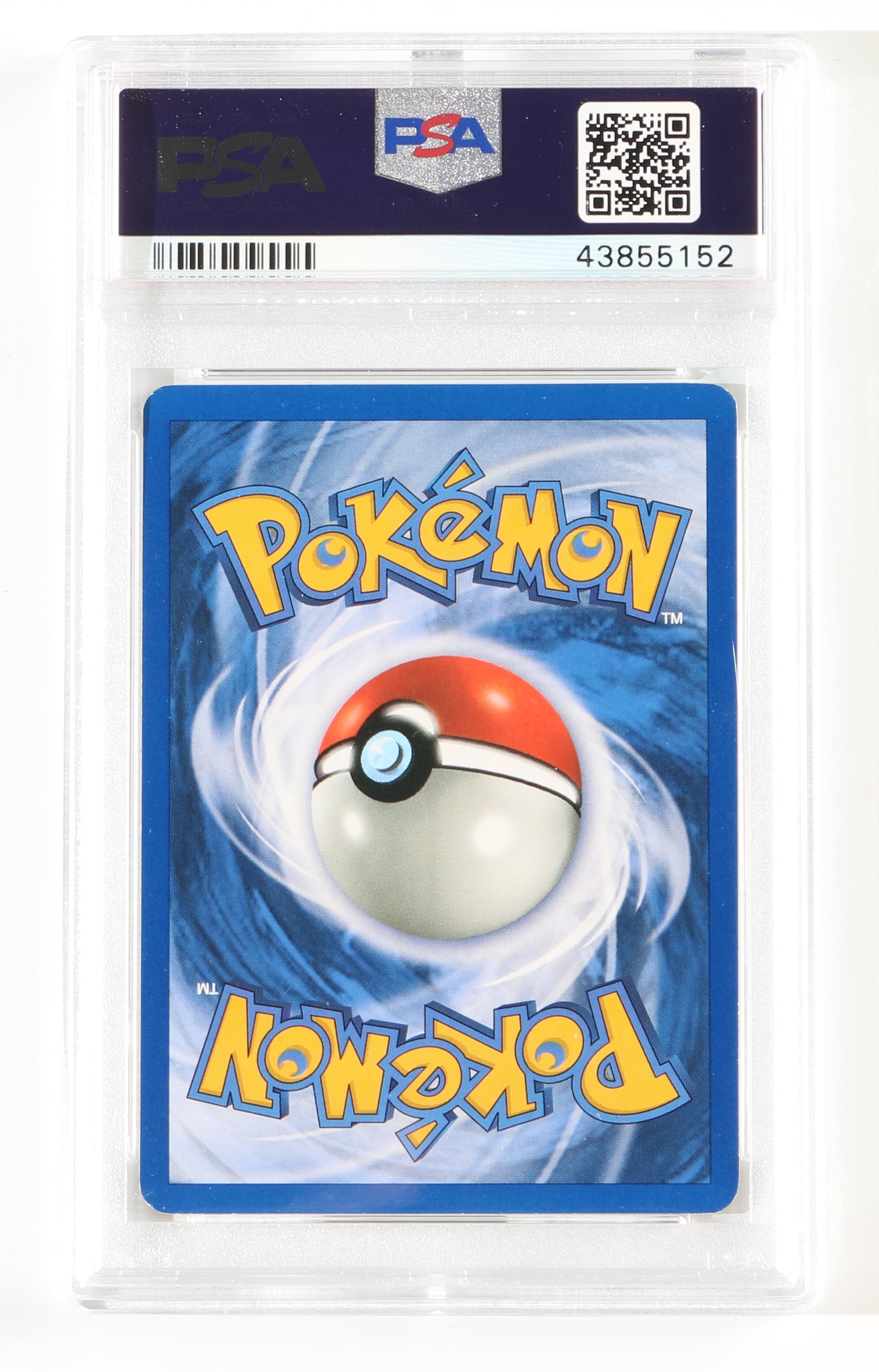 
                  
                    Eevee Holo Black Star Promo (PSA Encapsulated Grade NM-MT 8) 2000 Pokemon Trading Card #11
                  
                
