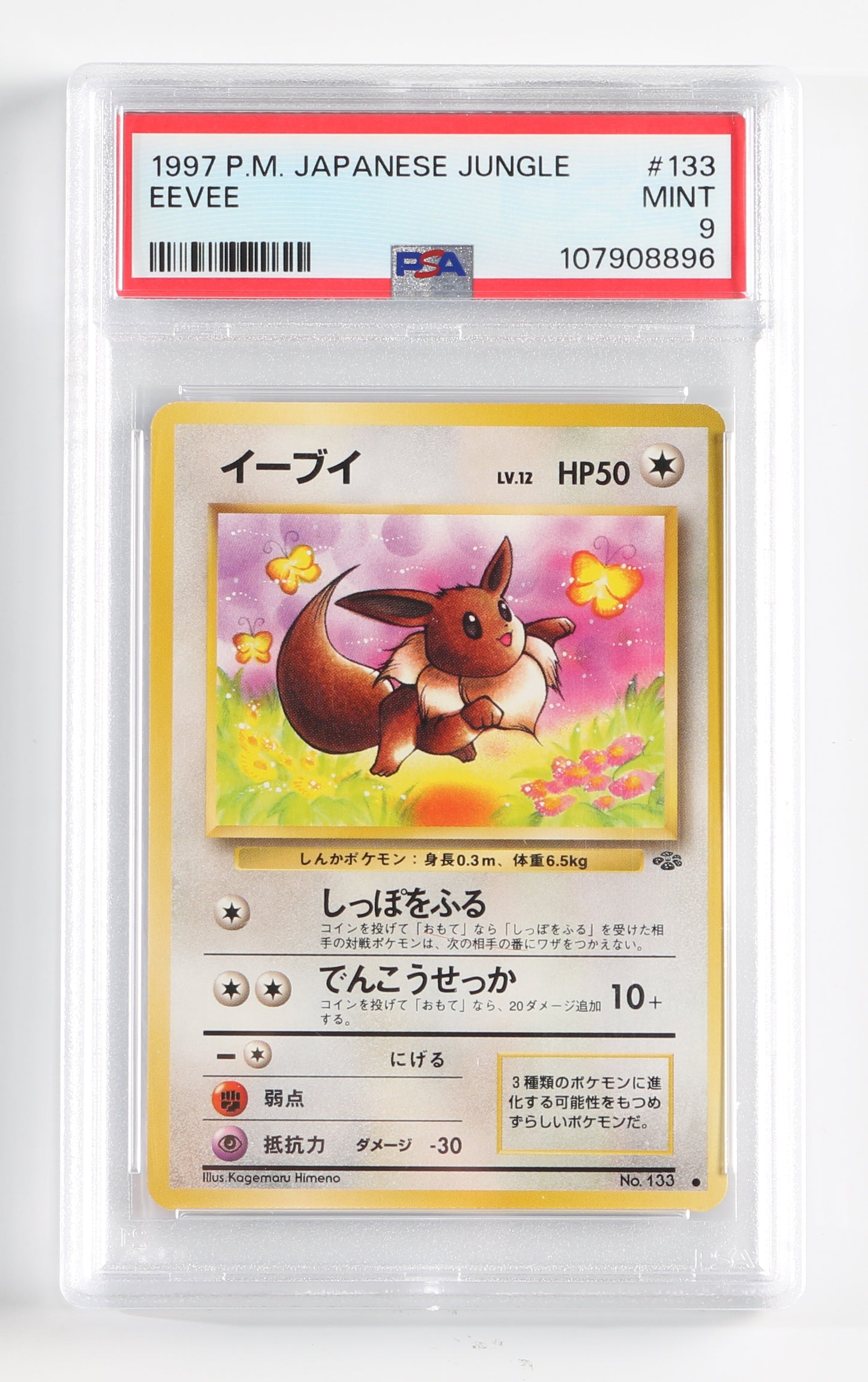 
                  
                    Eevee Jungle (PSA Encapsulated Grade Mint 9) 1997 Japanese Pokemon Trading Card #133
                  
                