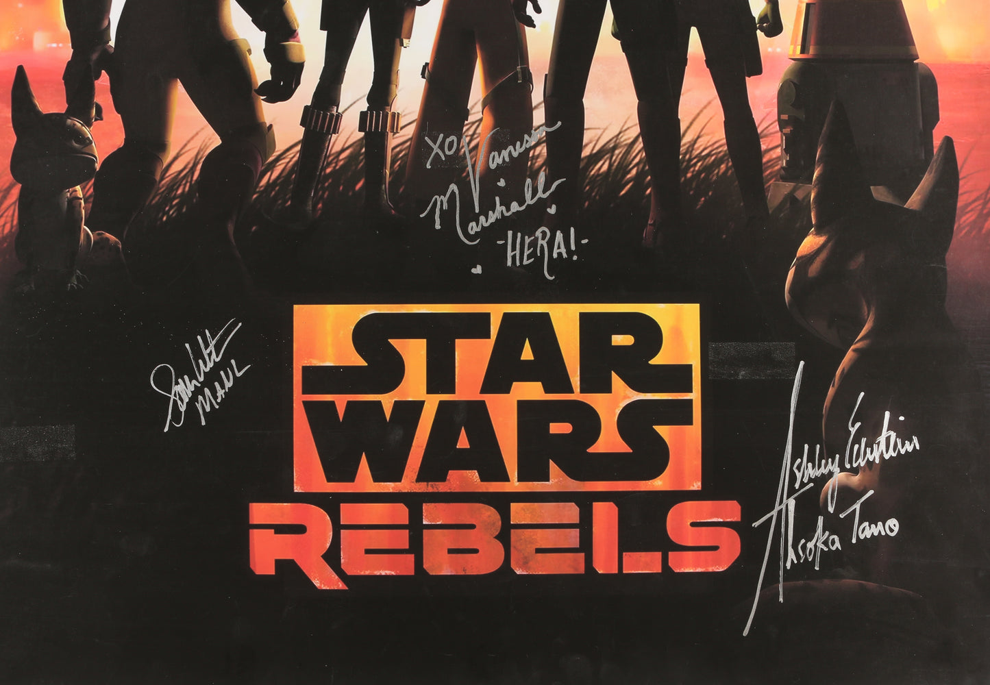 
                  
                    Vanessa Marshall as Hera Syndulla, Sam Witwer as Maul, & Ashley Eckstein as Ashoka Tano in Star Wars: Rebels Signed 22x33 Poster with Character Names
                  
                