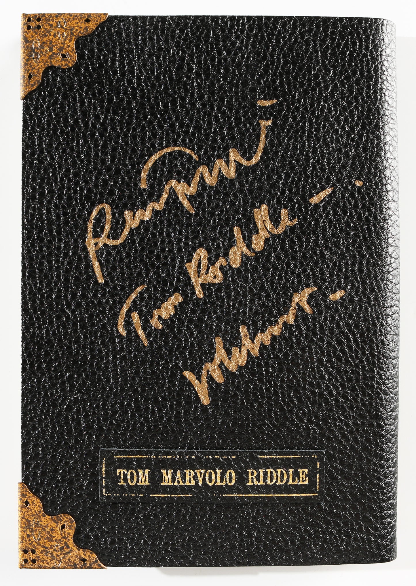 
                  
                    Ralph Fiennes as Lord Voldemort in Harry Potter Signed Prop Replica Tom Riddle Diary with Character Names
                  
                