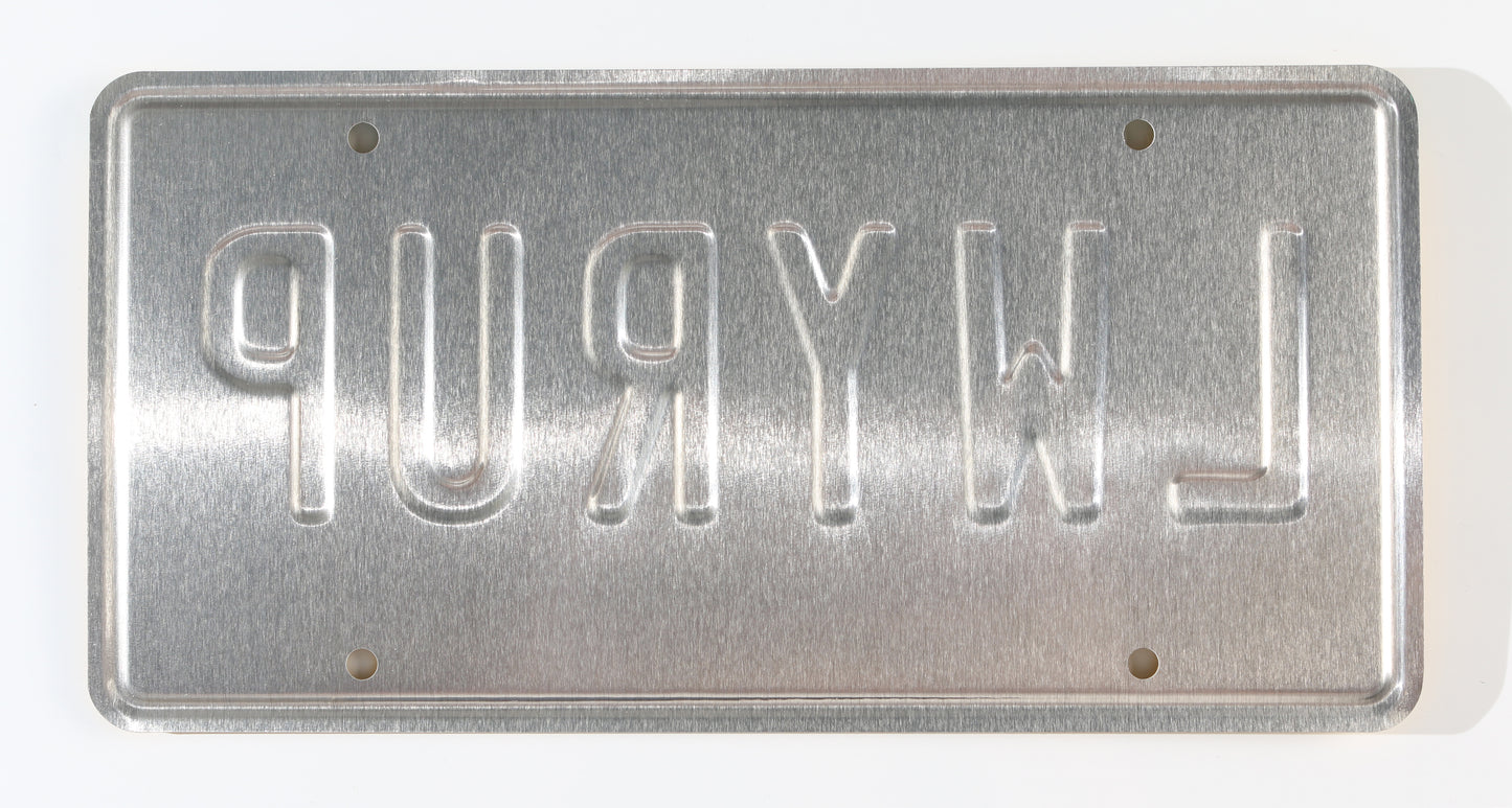 
                  
                    Bob Odenkirk as Saul Goodman & Rhea Seehorn as Kim Wexler in Better Call Saul Signed Prop Replica License Plate
                  
                