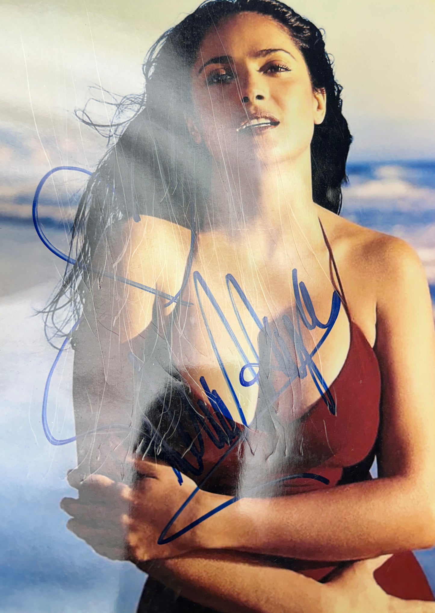 
                  
                    Salma Hayek from Frida, From Dusk till Dawn, & The Eternals Sexy Signed 8x10 Photo
                  
                