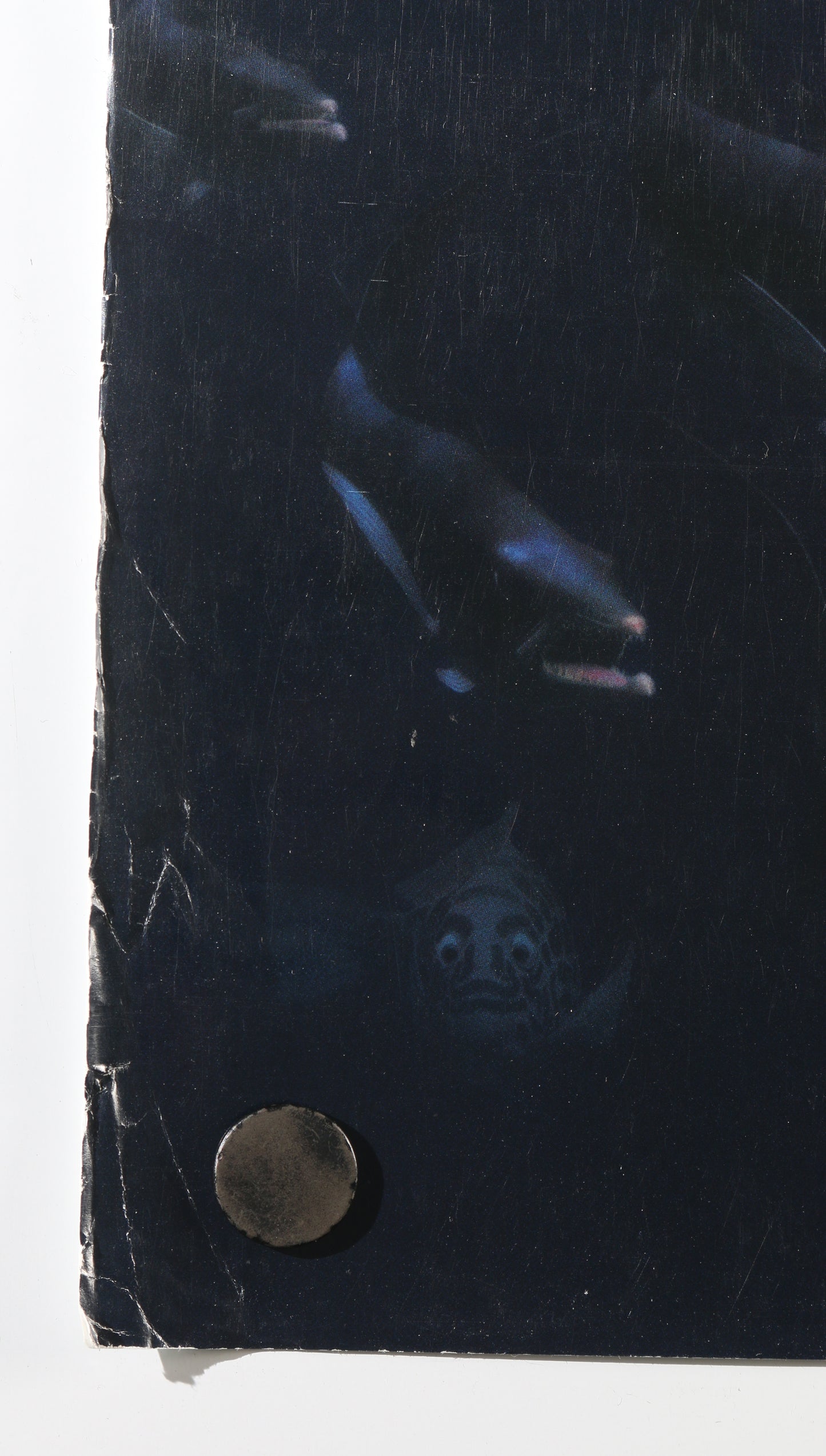 
                  
                    Willem Dafoe as Gill with Lee Unkrich Co-Director of Pixar's Finding Nemo Signed 27x40 Poster
                  
                
