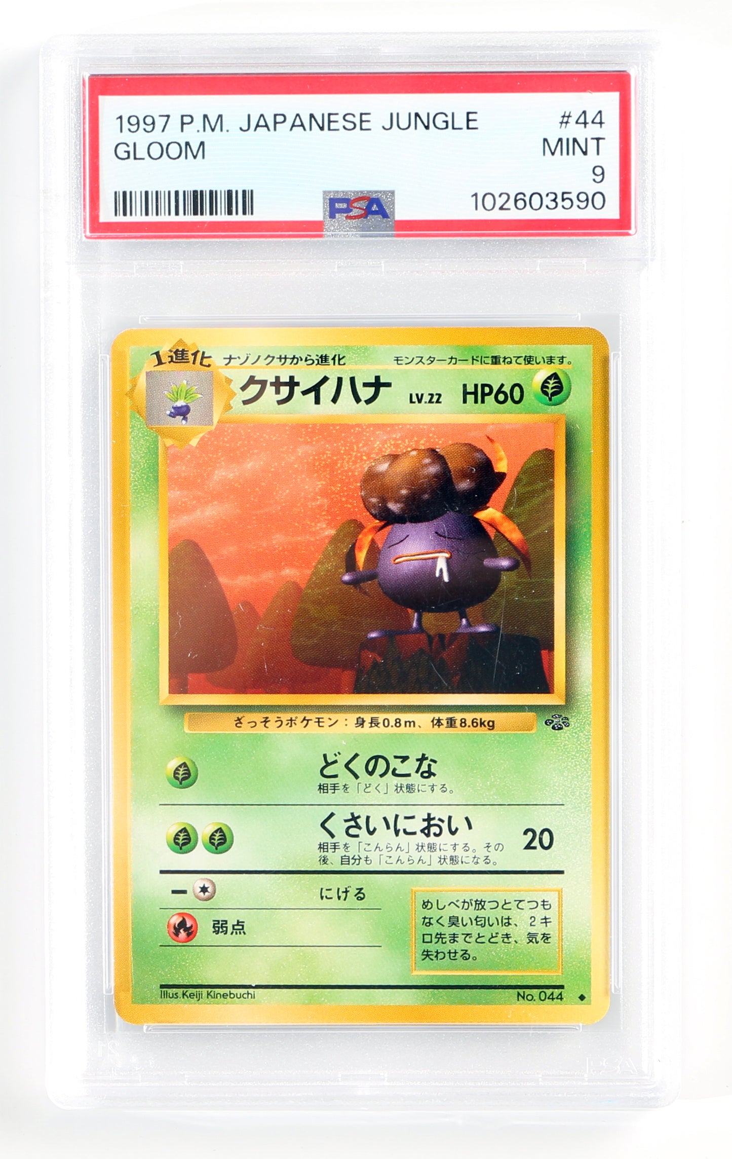 
                  
                    Gloom Jungle (PSA Encapsulated Grade Mint 9) 1997 Japanese Pokemon Trading Card #44
                  
                