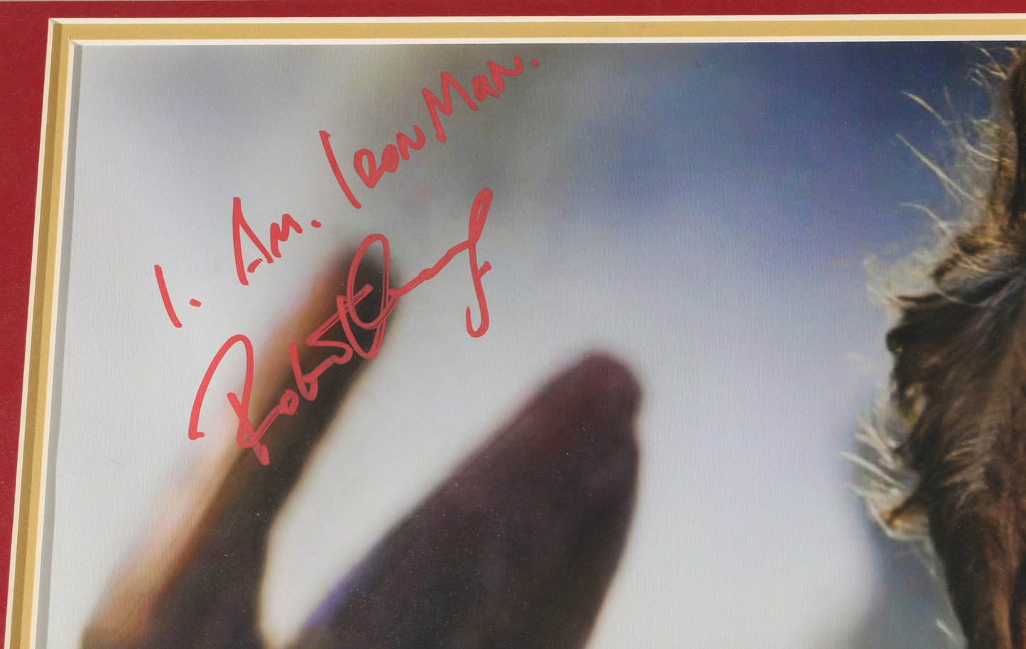 
                  
                    Robert Downey Jr as Tony Stark / Iron Man in Avengers: Endgame (SWAU) Frame Signed 16x20 Photo with Iconic Character Name Quote
                  
                
