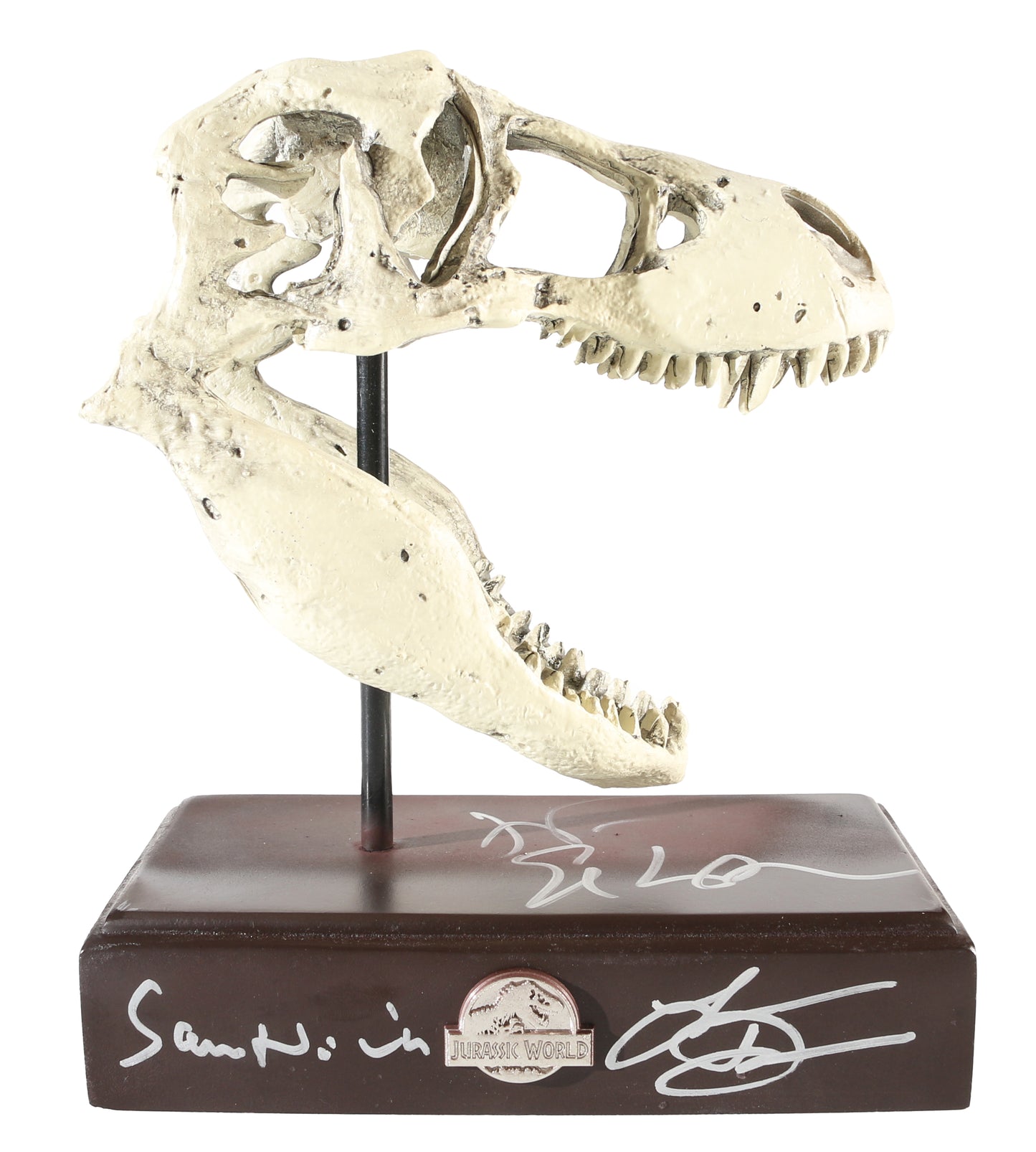 
                  
                    Sam Neill as Alan Grant, Laura Dern as Ellie Sattler, & Jeff Goldblum as Ian Malcolm in Jurassic Park Signed T-Rex Skull Prop Replica Paper Weight
                  
                