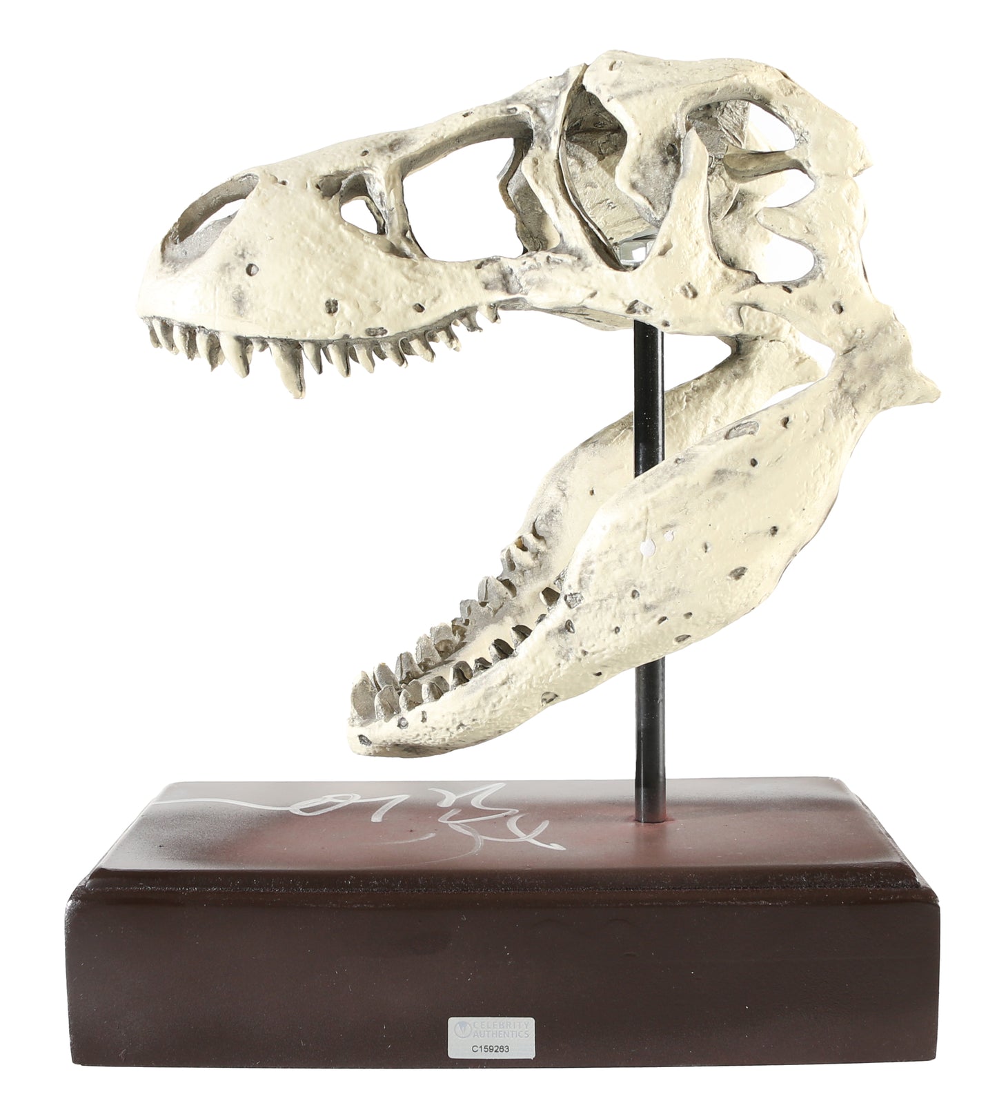 
                  
                    Sam Neill as Alan Grant, Laura Dern as Ellie Sattler, & Jeff Goldblum as Ian Malcolm in Jurassic Park Signed T-Rex Skull Prop Replica Paper Weight
                  
                