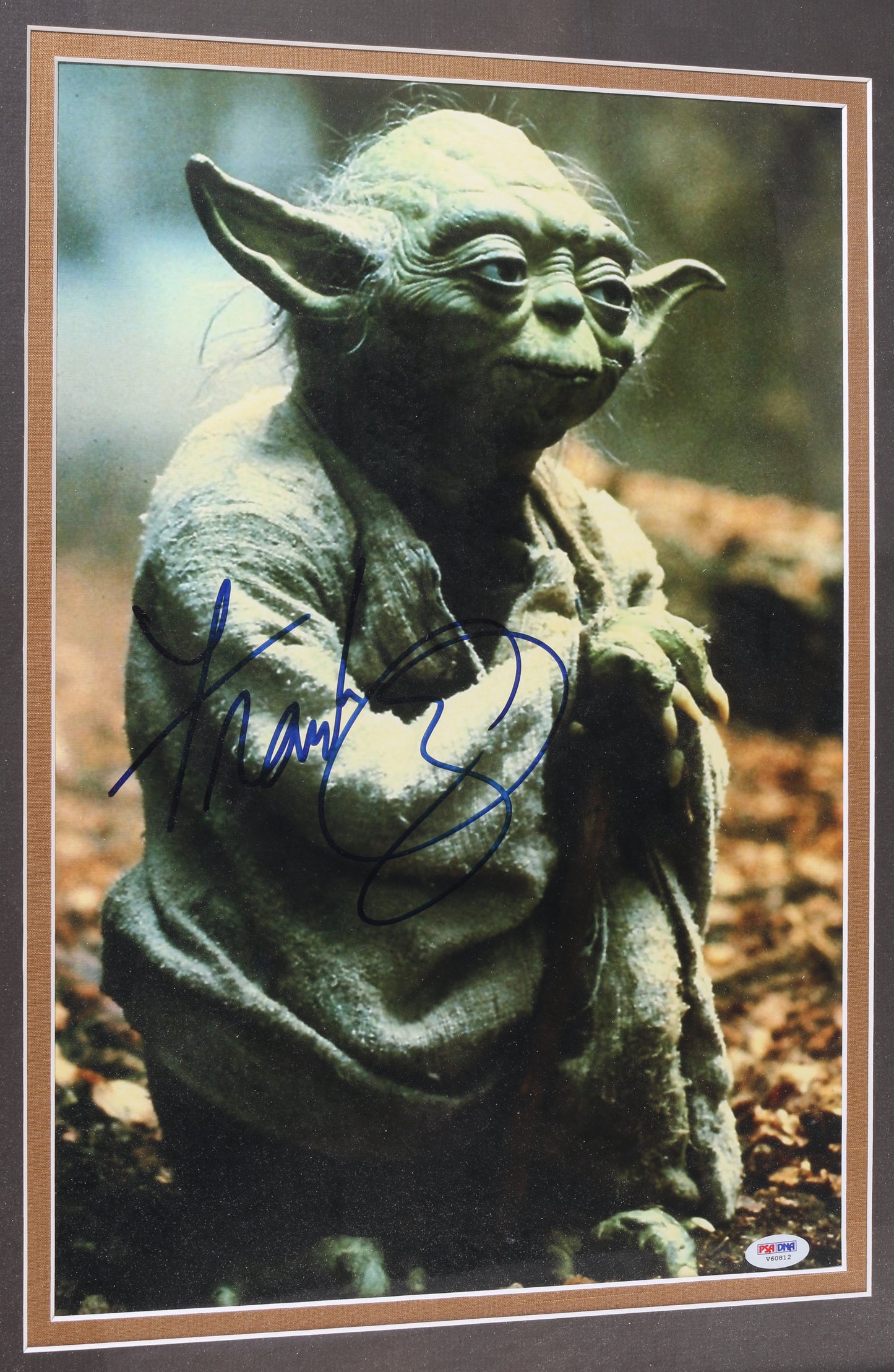 
                  
                    Frank Oz as Yoda in Star Wars: The Empire Strikes Back (PSA) Framed Signed 12x18 Photo
                  
                