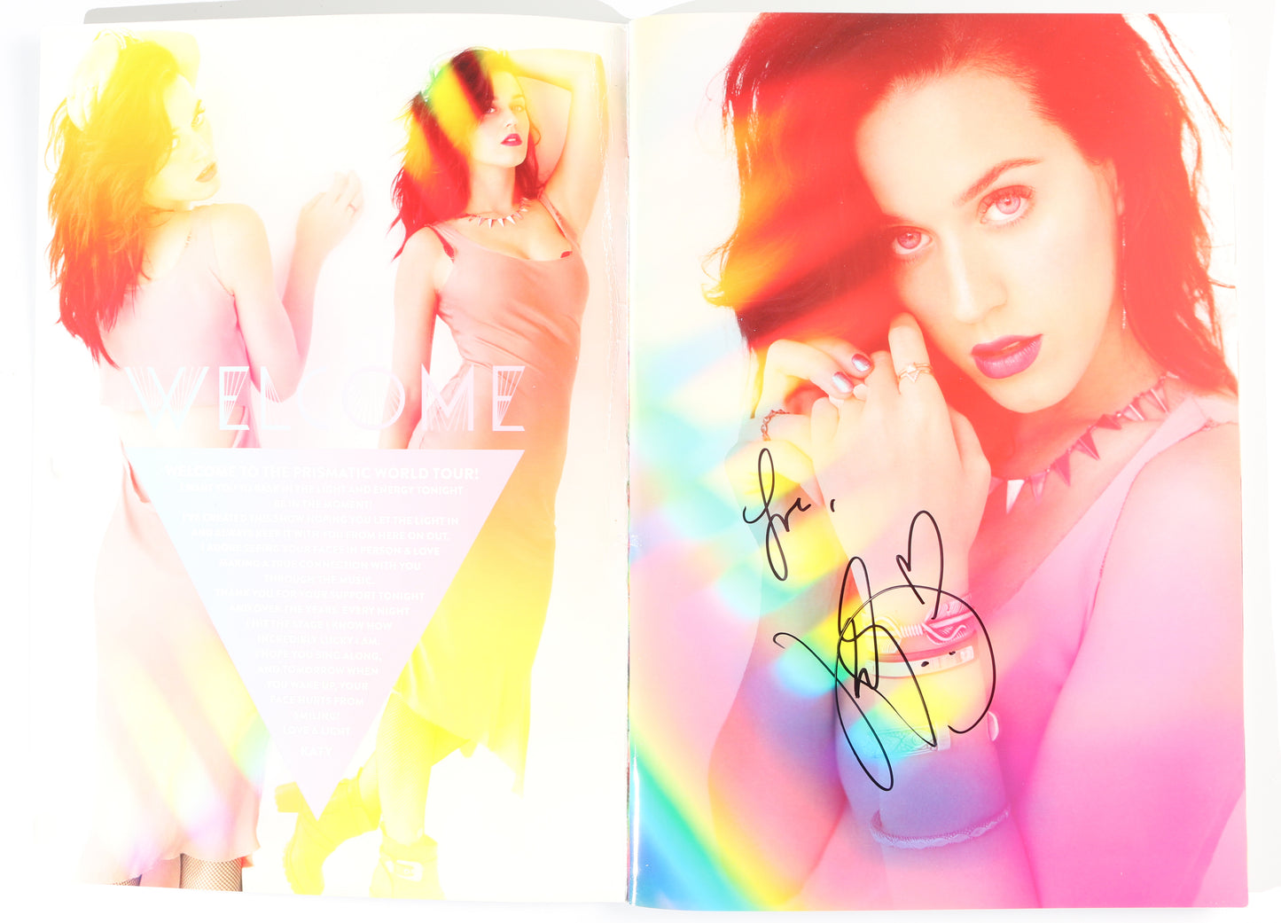 
                  
                    Katy Perry Singer & Songwriter Signed Tour Program
                  
                