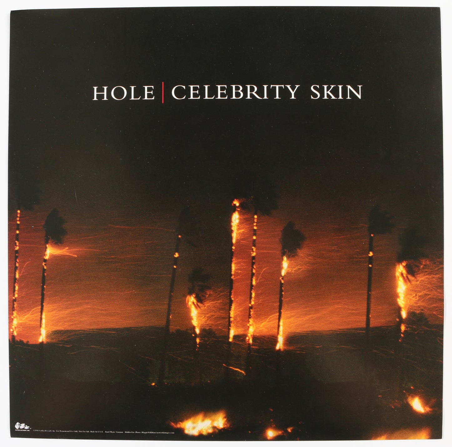 
                  
                    Hole: Celebrity Skin 12" Promo Flat Band Signed by Courtney Love, Eric Erlandson, & Melissa Auf der Maur
                  
                