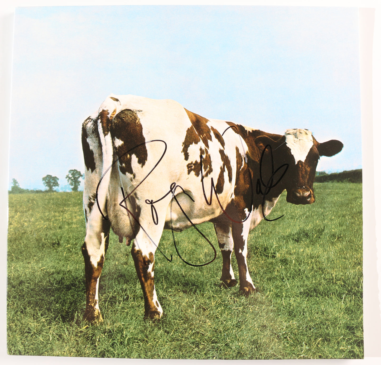 
                  
                    Pink Floyd: Atom Heart LP 12" Vinyl Record Signed by Roger Waters
                  
                