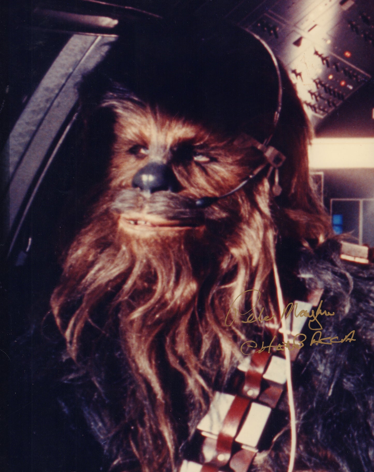 
                  
                    Peter Mayhew as Chewbacca in Star Wars: A New Hope Vintage Signed 8x10 Photo
                  
                