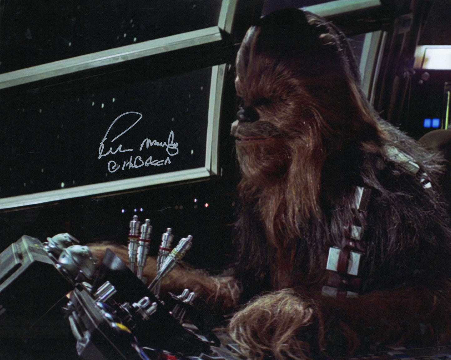 
                  
                    Peter Mayhew as Chewbacca in Star Wars: A New Hope Signed 16x20 Photo
                  
                