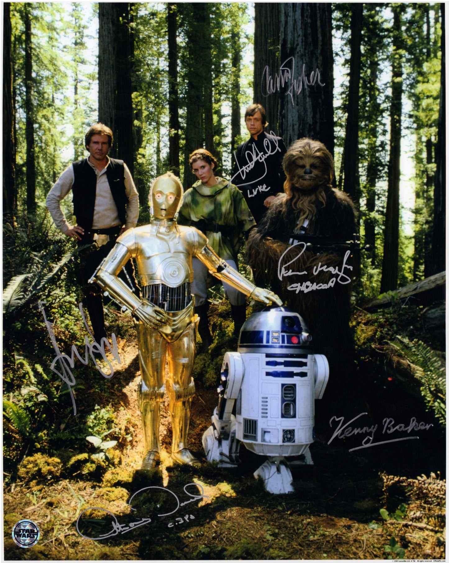 
                  
                    Star Wars: Return of the Jedi (Official Pix / Beckett) 16x20 Photo Cast Signed by Harrison Ford, Carrie Fisher, Mark Hamill, Peter Mayhew, Kenny Baker, & Anthony Daniels with Character Names
                  
                